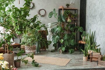 A fragment of the interior with a variety of indoor plants and plaster sculptures. Urban jungle concept. Biophilia design.