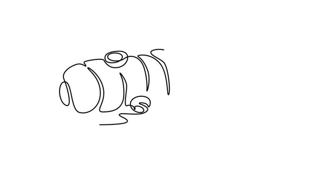Animated self drawing of continuous line draw of whole healthy freshness organic turmeric for cooking logo identity. Fresh flowering plant concept for vegetable icon. Full length single line animation