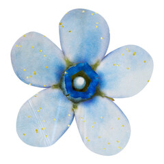 Blue flower png forget me not sticker, transparent background