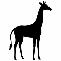Girraf silhouette vector illustration style on a white background