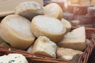 Craft cheese for sale at a farmer's market