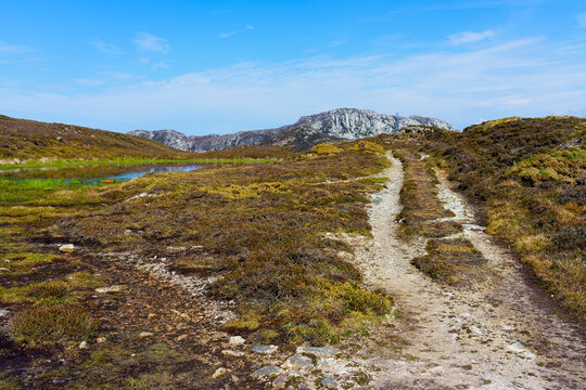 Rough track leads across South Stack nature reserve towards Holyhead mountain.