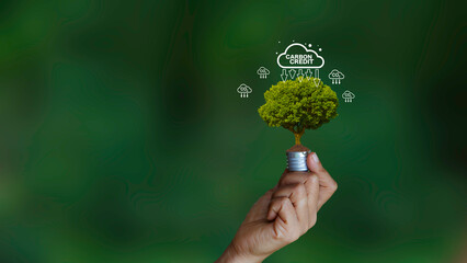 Carbon fixation fights nature. Carbon credit market and net zero exchange trading concept . carbon...