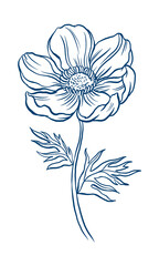 Anemone png flower collage element, blue botanical clipart