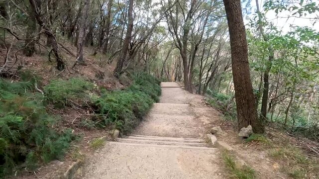 Walking way Wentworth Falls is a three-tiered waterfall fed by the Jamison Creek, near the town of Wentworth Falls in the Blue Mountains region of New South Wales Australia - Dolly in Footage Nature 