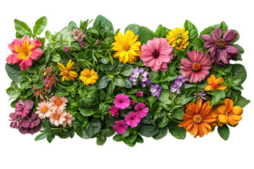 lush green lawn with blooming flowers,  vibrant colors and textures, isolated on white.