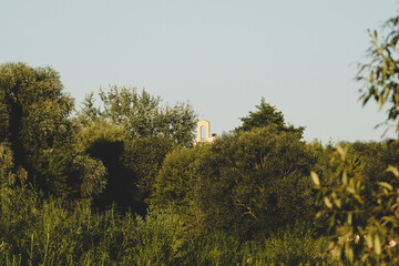 a church building rising above the trees 