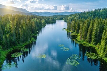 Serene Lake Nestled in a Verdant Mountain Forest