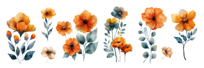 Set with watercolor wild flowers floral illustrations blossoms, leaves, and branches. Isolated on white background