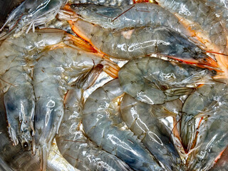 Shrimps. Fresh and wet raw tiger shrimps (tiger prawns) without heads and deveined ready for cooking. Food background.