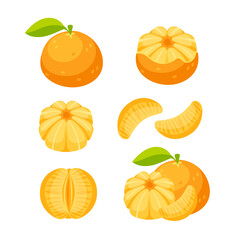 Mandarin, clementine. Fresh mandarin in slices and cut in half.