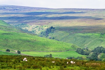 Farms over North Pennines, Cumbria, Durham, Northumberland, North Yorkshire, England