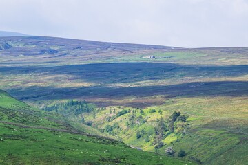Obraz premium Farms over North Pennines, Cumbria, Durham, Northumberland, North Yorkshire, England