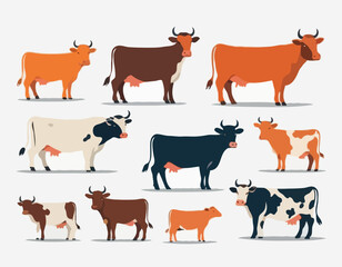 male and female farm animals. Cow, bull and calf icons. Dairy cattle in different poses