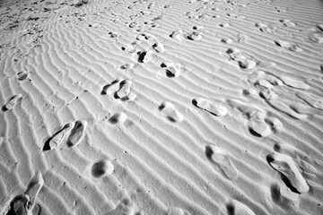 footprints in the sand