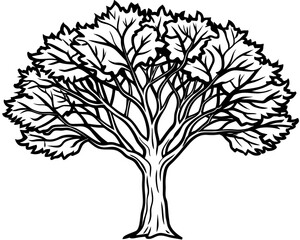 Elegant Tree Silhouettes: Vector Art and Illustration Collection