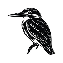 Kingfishers Silhouette Vector