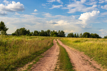 Obraz premium A dirt road in a field with trees in the background