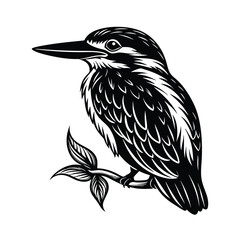 Kingfishers Silhouette Vector