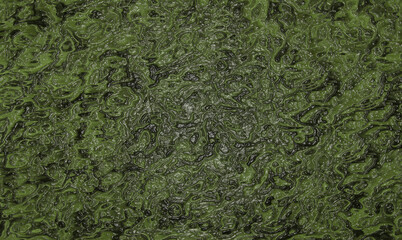 Camouflage glossy background of green and black color close-up