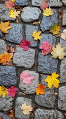 The texture of a stone pathway covered in fallen leaves, with the colors of autumn popping against the gray stones