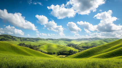 Obraz premium A lush green field slopes gently over rolling hills, while above, a clear blue sky dotted with fluffy white clouds completes the serene landscape.