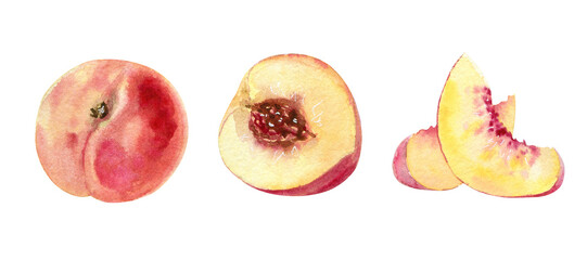 Watercolor hand drawing peach fruit slice set