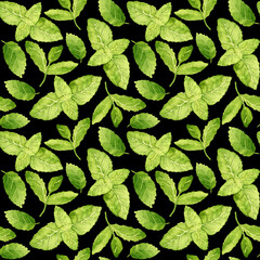 Watercolor seamless pattern with leaves of peppermint. Fresh green illustration hand painted. Black background