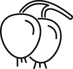 Simple line icon of two cherries still hanging on the branch