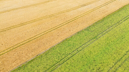Aerial view of green and yellow fields with tractor tracks