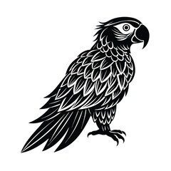 Macaw Silhouette Vector