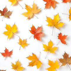 Fototapeta premium There are several red, yellow, and autumn foliage leaves 