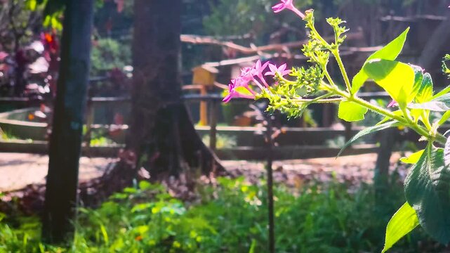 Borboleta voando na flor