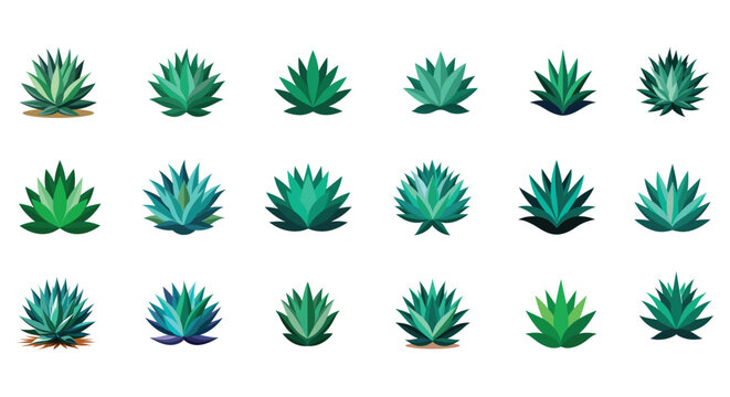 Agave Plant: Stunning Illustrations and Vector Art for Design