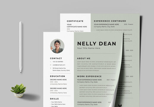 Professional Resume Template