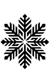 Snowflake SVG, Christmas SVG, Winter SVG, New Year SVG, Flake Winter SVG, Snowfall SVG, Season SVG, Snowflake Silhouette, Snowflake Design, Cut file for Cricut SVG, JPG, PNG, Clipart