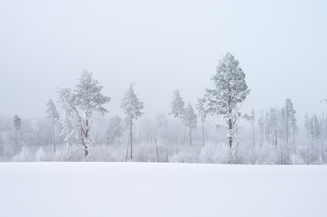 View to cold frozen winter landscape, clean sky