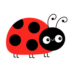Cute lady bug, lady bird. Cartoon kawaii funny baby character. Happy Valentines Day. Black and red insect icon. Card Sticker print. Childish style. Flat design. White background. Isolated. Vector