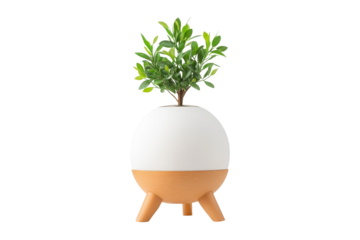 Egg Shaped Planter With Wooden Legs