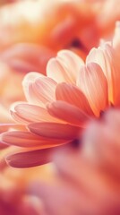 Fototapeta premium Macro photography revealing delicate petals of blooming coral flower