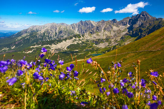 Tatra Mountain, Poland, view to group of glacial lakes from Kasprowy Wierch range.