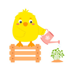 Cute yellow cartoon chick watering plants with a pink watering can. Flat vector illustration on white background