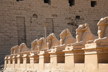 Beautiful view of ram sculptures in ancient Karnak Temple in Luxor, Egypt