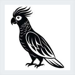 Black cockatoo vector illustration
