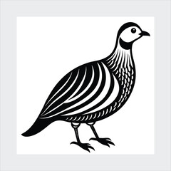 Chukar silhouette vector illustration.