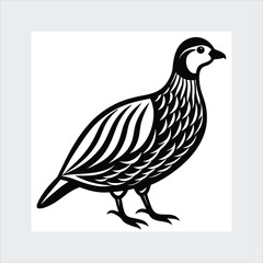 Chukar silhouette vector illustration.
