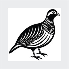 Chukar silhouette vector illustration.