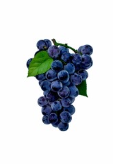 Black grapes isolated on white background