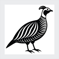 Fototapeta premium Chukar silhouette vector illustration.