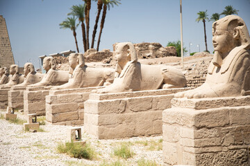 Beautiful view of the sphinx sculptures in ancient Luxor Temple in Luxor, Egypt